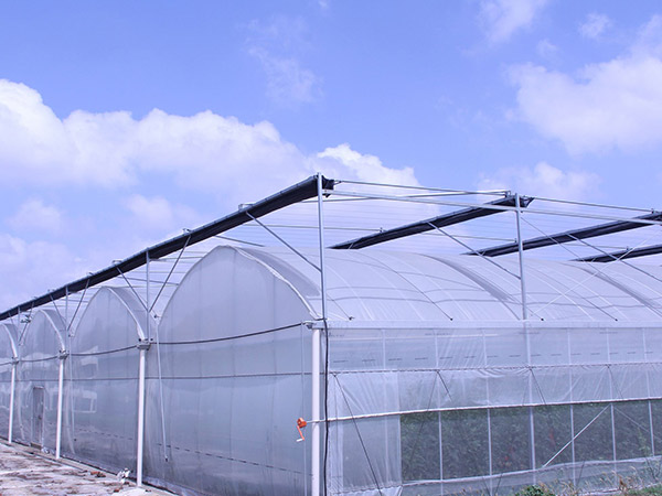 常熟温室大棚建设的滴灌技术常见优点
